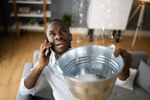Best Carpet water damage restoration  in Ellensburg, WA