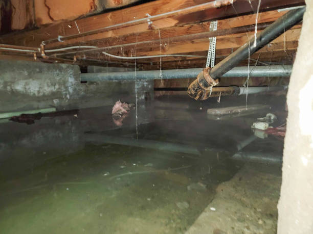 Best Flood damage cleanup  in Ellensburg, WA