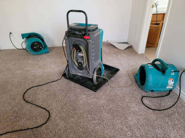 Best Water damage cleanup near me  in Ellensburg, WA