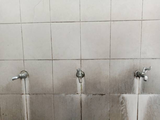 Best Local water damage restoration  in Ellensburg, WA