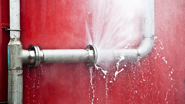 Best Flood restoration services  in Ellensburg, WA